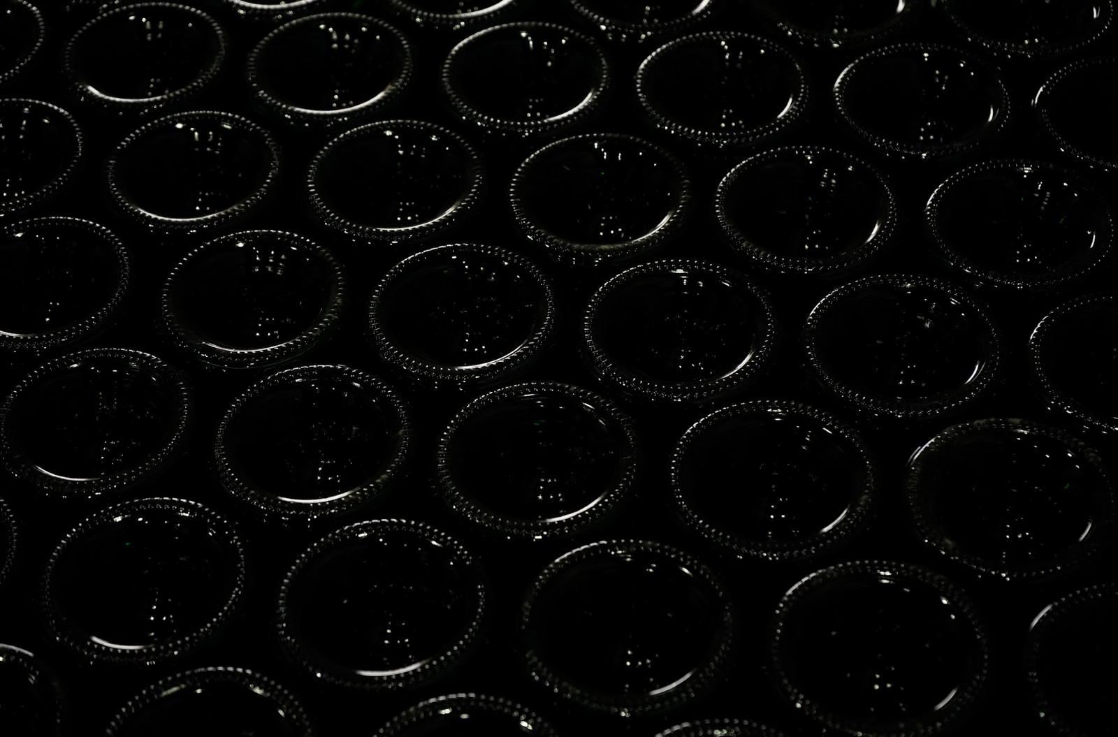 Christmas lights and fir tree branches